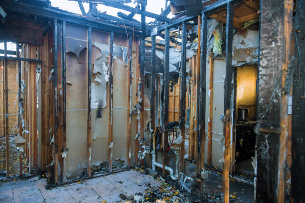 Professional Fire Damage Repair technician working in Davidsonville, MD